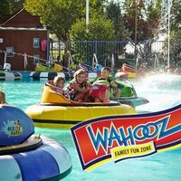 Wahooz Fun Zone (@wahoozfunzone) 's Twitter Profile