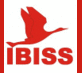 Twitter Profile image of @IbissNL