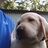 Jeffreyvossen2's profile image