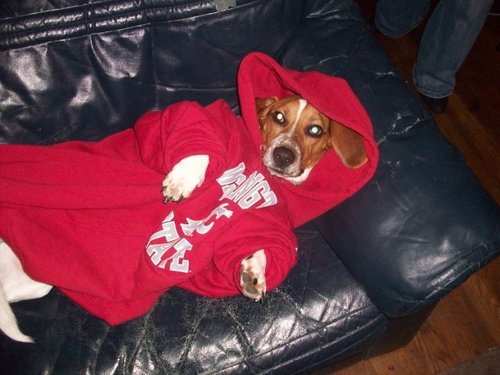 JoelHewitt1's profile picture. Work then Play