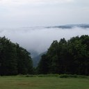 scott murphree - @murphree_scott - Twitter