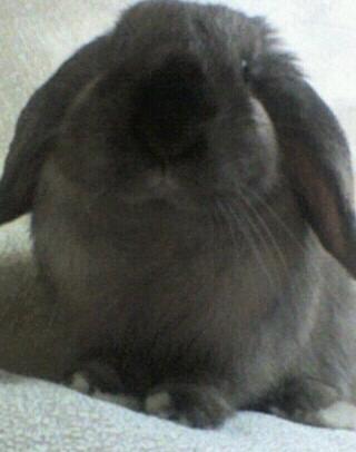 98Lorasque's profile picture. 