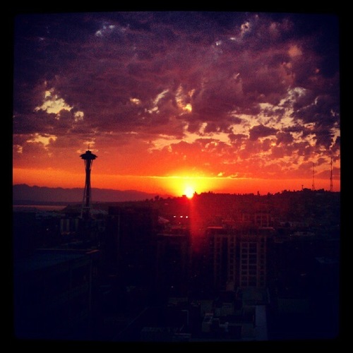 laxnsam's profile picture. Most likely at a lax game...