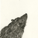 Rebecca Anne Gault - @Rebekha_Anne - Twitter