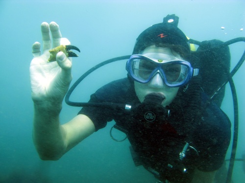Lead software engineer, cycling & ski addict