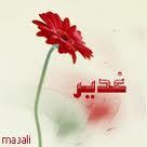 ghadeeralnoury's profile picture. رفقا بي فلست فتاة من حديد