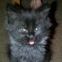 Shaun Dell - @shaunrhdell - Twitter