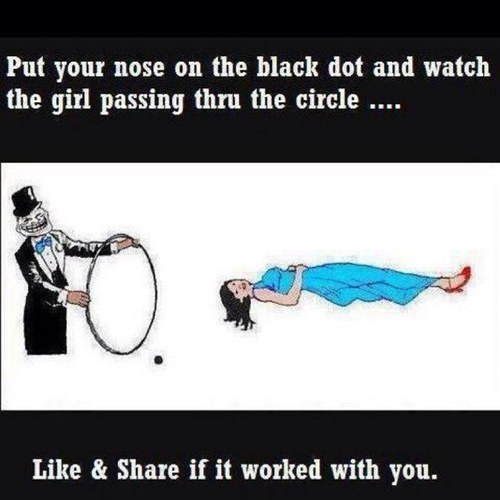 JacksonMassie's profile picture. MOAB count: 436