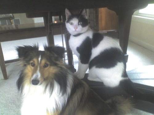 hackster63's profile picture. 