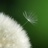 norasacra's profile image