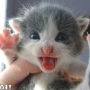 jacob lind - @lindjacob1 - Twitter