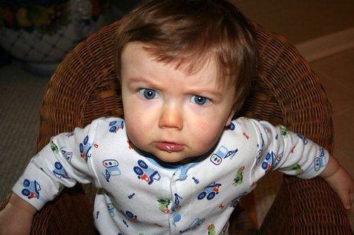 scguytuscaloosa's profile picture. 