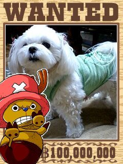 【更新2024.6.1】❤️動物達❤️爬虫類*小動物❤️サバゲー🔫❤️ラグビー  をフォローしてます☺️   名前変えましたー(^^)v  愛車SILVIA-S15にちなんで🎵  こちらのほうがサバゲー仲間達にわかりやすいでしょうから(笑)