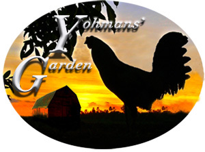YohmansGarden's profile picture. Bringing Southern Garden Goodness to Your Kitchen!