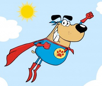 Sharing #Dog #training tips & advice on your best friend!