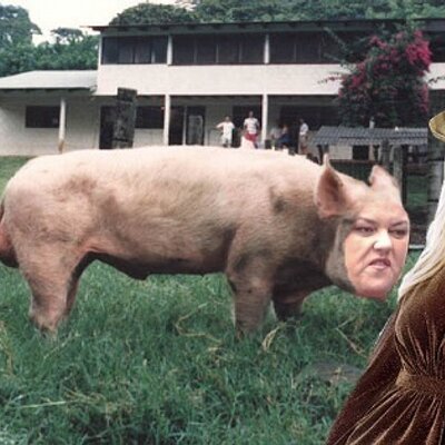 Image result for rosie o'donnell pig