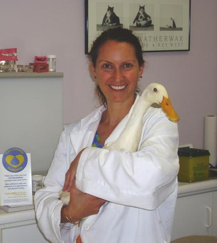 Owner of Musson Mobile Veterinary Services. I offer the convenience of in-home care for dogs, cats, rabbits, rodents, birds and reptiles in the GTA