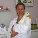 Dr. Annabel Musson - @Dr_Musson - Twitter