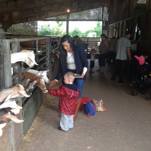 SophieBrazier_x's profile picture. 