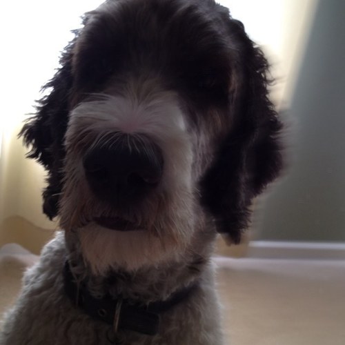 marydrapp's profile picture. 