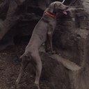 Marcin Glodowski - @gloma30 - Twitter