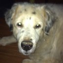 Paula Guthrie - @GuthriePaula - Twitter