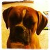 bryant (@willv84) Twitter profile photo bryant (@willv84) Twitter profile photo