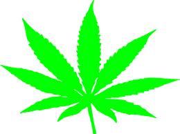Weed Tweets