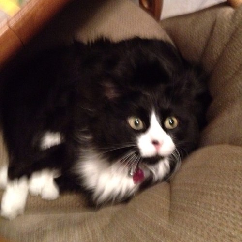 GayleSmith103's profile picture. Pharmacist at CVS Health . All thoughts my own