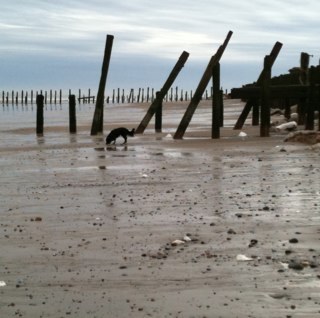 kaslade's profile picture. Radio professional and not so yummy mummy