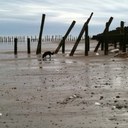 Kate Slade - @kaslade - Twitter