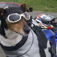 craig_janie's profile picture. 