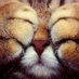 Max (@maxime_tz) Twitter profile photo Max (@maxime_tz) Twitter profile photo