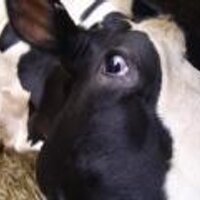 RuminantPopnHealth (@herdhealth) 's Twitter Profile Photo RuminantPopnHealth (@herdhealth) 's Twitter Profile Photo