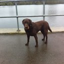 Laura Bone - @lauzvin - Twitter