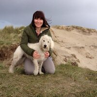 Sharon Hall (@sharonnahall1) 's Twitter Profile Photo Sharon Hall (@sharonnahall1) 's Twitter Profile Photo