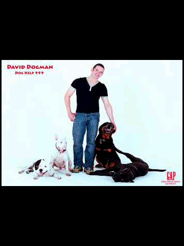 doghelp999's profile picture. 