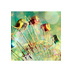 Phuong Thao (@01645883988) Twitter