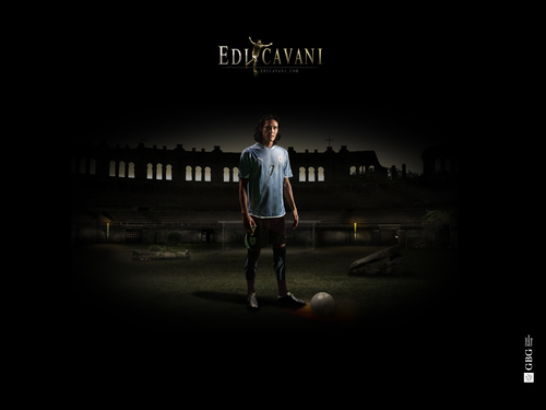 MastiffsNapoli7's profile picture. 