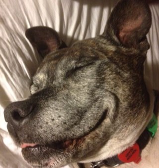 wordleym's profile picture. photographer