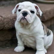 bucong's profile picture. 