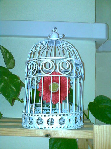 tralarari's profile picture. 