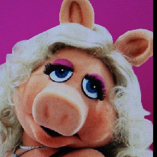 Kwickso's profile picture. 