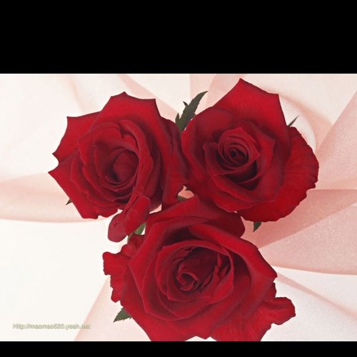 mohammedmalek85's profile picture. 