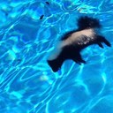 james rines - @jr9511 - Twitter