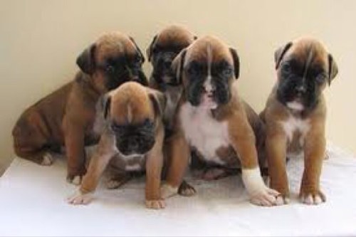 Wishiwozkenny's profile picture. loves my girls,my flip,georgemichael & mcfc in that order