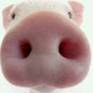 song2ats's profile picture. 