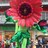 memo_Qah's profile image