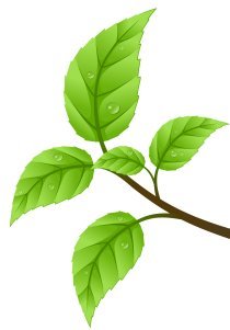 Fundvinecom's profile picture. Fundvine: connected entrepreneurs, start-ups, investors and businesses