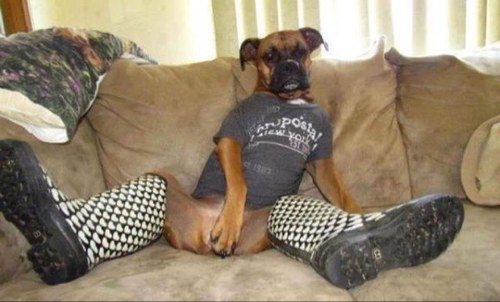 La1012011's profile picture. 